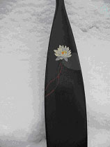 Canoe Paddle Art, Water Lily
